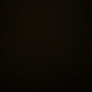 Meet your Posher, Presley